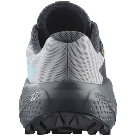 Scarpe da donna Salomon Alphaglide Gore-Tex