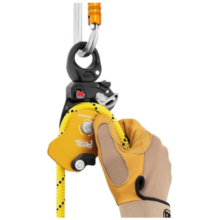 Puleggia Petzl Pro Traxion