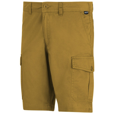 Pantaloncini da uomo Regatta Ruwan Shorts