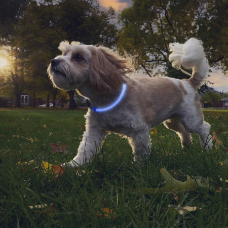 Collare luminoso per cane Nite Ize NiteHowl® Rechargeable LED Safety Necklace
