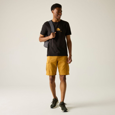 Maglietta da uomo Regatta Cline IX