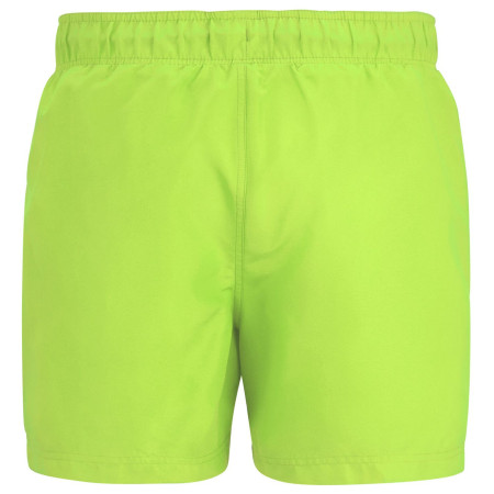 Costume da bagno da uomo Regatta Mawson Swim Shorts III