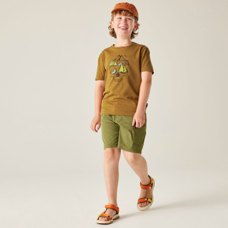 Maglietta da bambino Dare 2b Trailbazer III Tee Dark Cumin