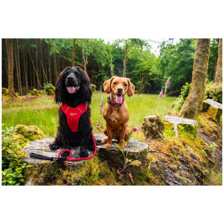 Guinzaglio per cane Mountain Paws Rope Dog Lead