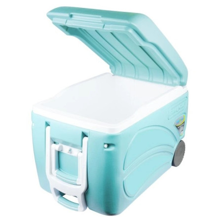 Frigorifero portatile Pinnacle Proxon 45L