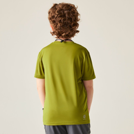 Maglietta da bambino Dare 2b Amuse III Tee Goldn Cypress