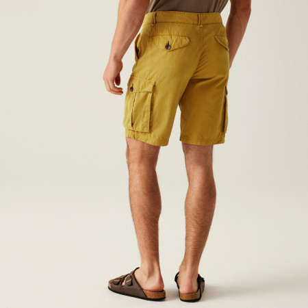 Pantaloncini da uomo Regatta Shorebay Shorts II