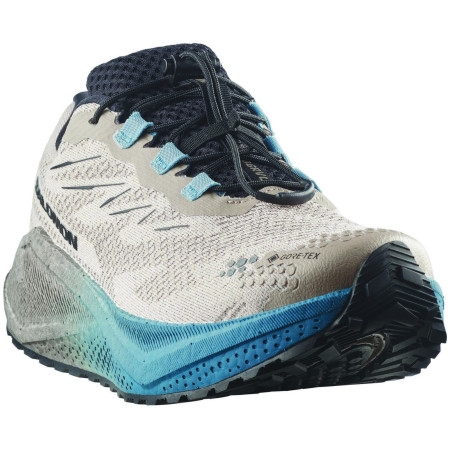 Scarpe da uomo Salomon Aero Blaze 4 Grvl Gtx