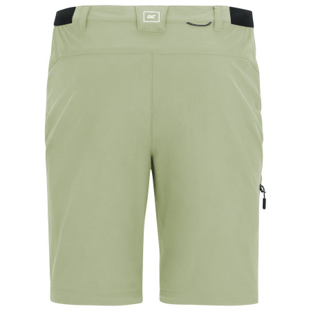 Pantaloni da uomo Regatta Anti-Insect Travel Light Z/O Trousers