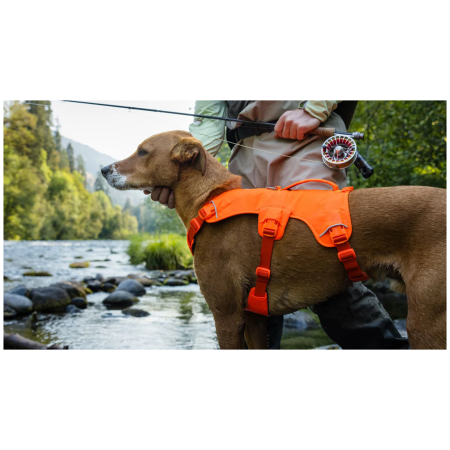 Pettorina per cane Ruffwear Web Master™ Harness