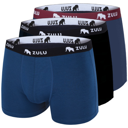 Boxer da uomo Zulu Bambus 210 4in 3-pack