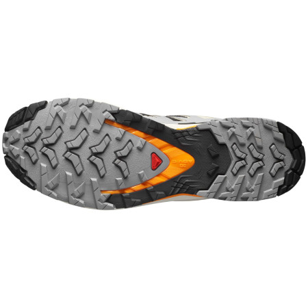 Scarpe da uomo Salomon Xa Pro 3D V9