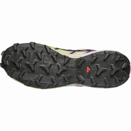 Scarpe da donna Salomon Speedcross 6 Gore-Tex