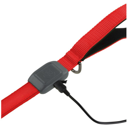 Guinzaglio per cane Nite Ize LED NiteDog