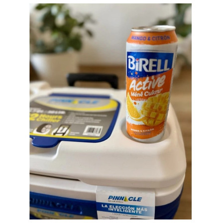 Frigorifero portatile Pinnacle Prudence 30L