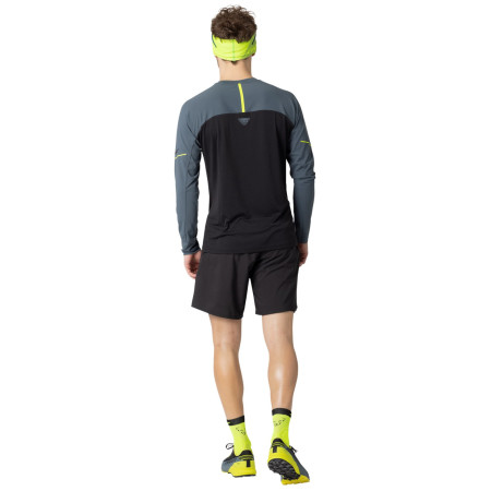 Maglietta funzionale da uomo Dynafit Alpine Pro M L/S Tee