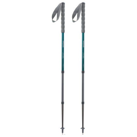 Bastoncini da trekking Pinguin Fastrail TL Foam blu Patrol