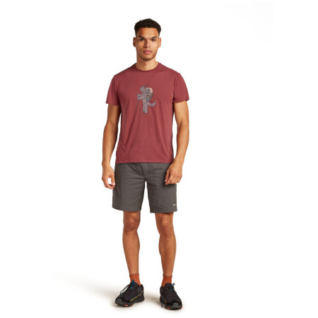 Maglietta funzionale da uomo Icebreaker M Mer Core SS Tee Tech Head