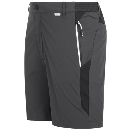Pantaloncini da uomo Regatta Mountain ShortsII M