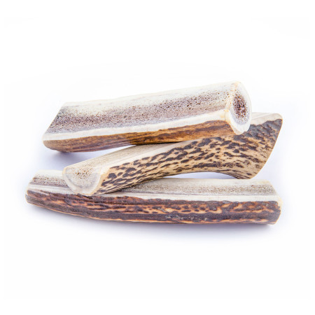 Giocattolo per cane Explorer Dog Antler Chew easy