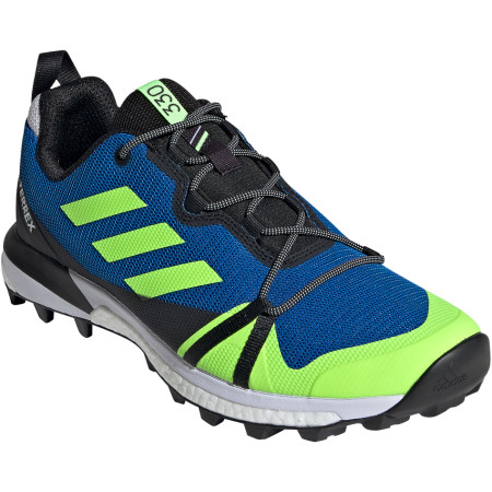 Scarpe da uomo Adidas Terrex Skychaser LT Gtx blu/verde Gloryblue