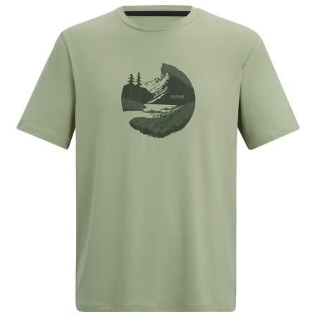 Maglietta da uomo Regatta Fingal Stretch verde Light Sage