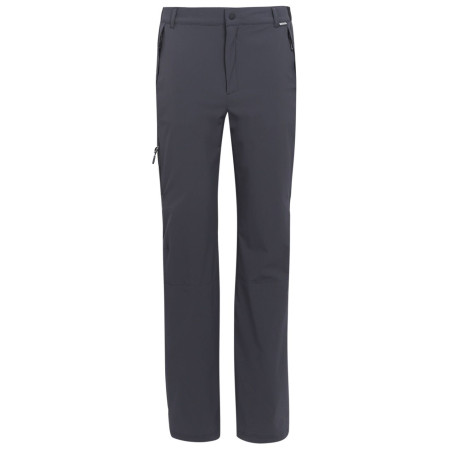 Pantaloni da uomo Regatta Travel Light Packaway Trousers grigio Ash