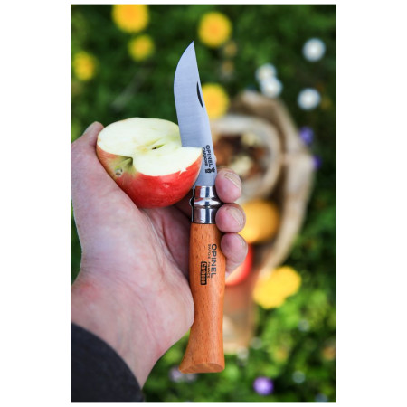 Coltello chiudubile Opinel N°05 Carbon