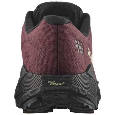 Scarpe da corsa da donna Salomon Aero Blaze 4 Grvl W