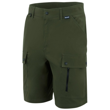 Pantaloncini da uomo Regatta Arlery Shorts