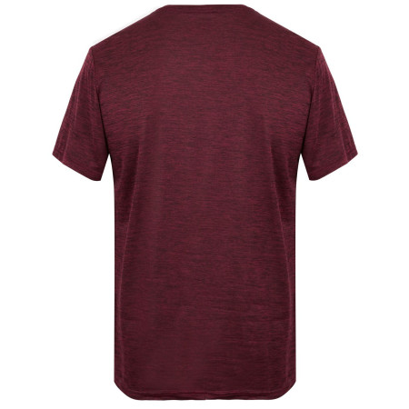 Maglietta da uomo Regatta Fingal Edition