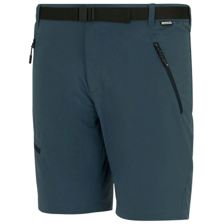 Pantaloncini da uomo Regatta Xert Stretch Shorts