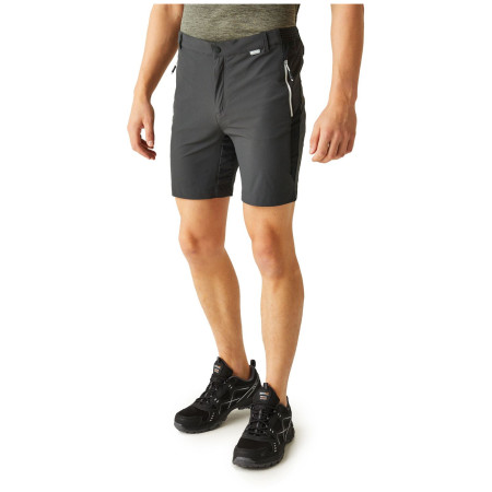 Pantaloncini da uomo Regatta Mountain ShortsII M