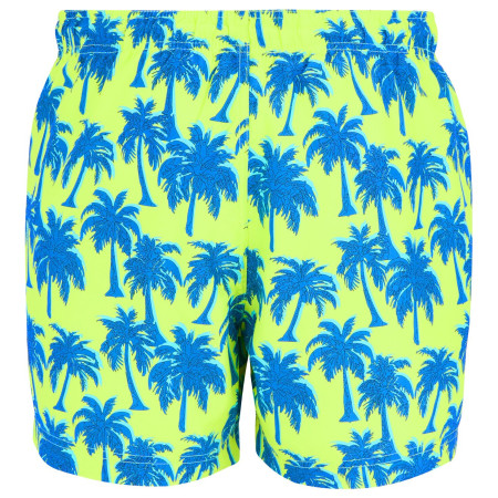 Costume da bagno da uomo Regatta Loras Swim Short
