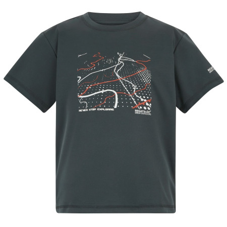 Maglietta da bambino Regatta Alvarado Seal Grey grigio Seal Grey