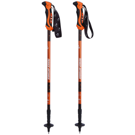Bastoncini da trekking Zulu Trekker Antishock