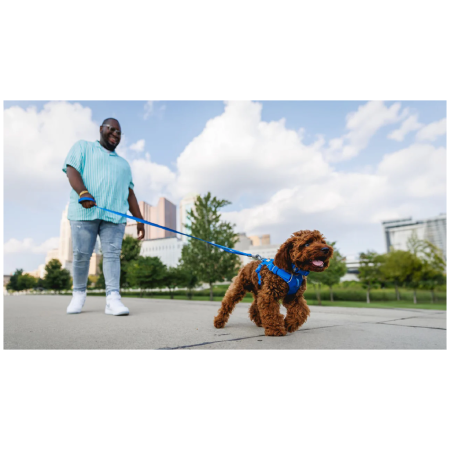 Guinzaglio per cane Ruffwear Front Range™ Leash