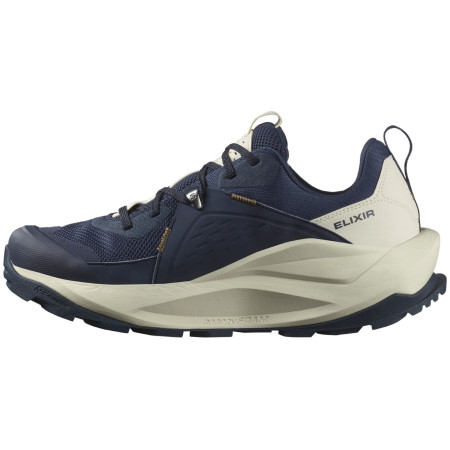 Scarpe da uomo Salomon Elixir Gore-Tex