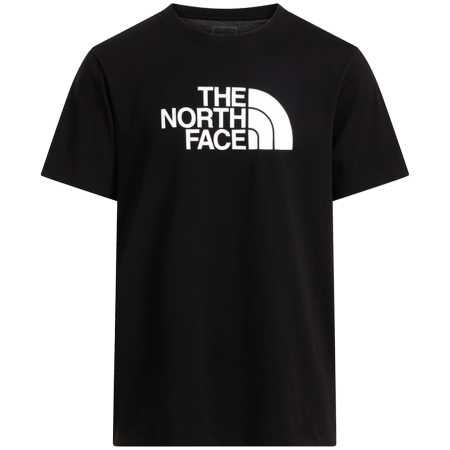 Maglietta da uomo The North Face Evolution Half Dome Regular Short Slee