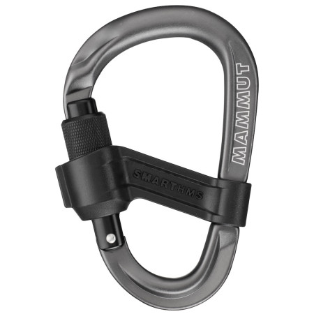 Kit assicuratore Mammut Smart 2.0 Belay Package azzurro alpine calamint