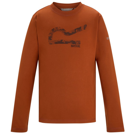 Maglietta da bambino Regatta Winter Alvarado Rooibos Tea arancione Rooibos Tea