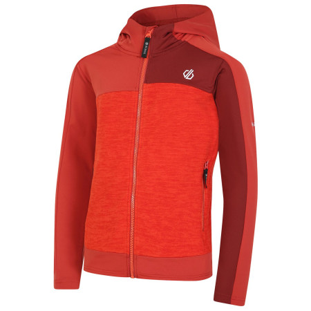 Felpa da bambino Dare 2b Thriving II Core St