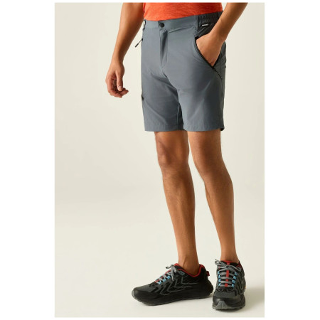 Pantaloncini da uomo Regatta Xert Stretch Shorts