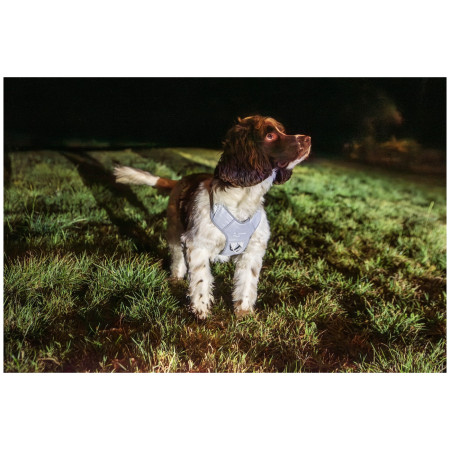 Pettorina per cane Mountain Paws Reflective Dog Harness