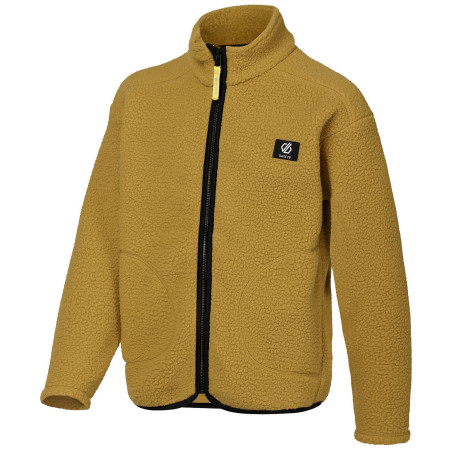 Felpa da bambino Dare 2b Zesty II Fleece Wood Brown