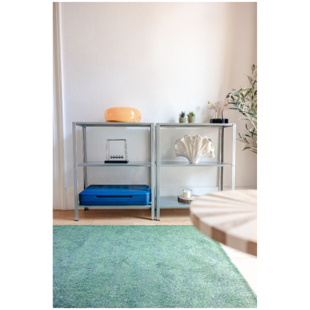 Frigorifero portatile Coleman Snap-N-Go 55QT