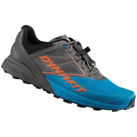 Scarpe da corsa da uomo Dynafit Alpine blu/grigio Magnet/Frost