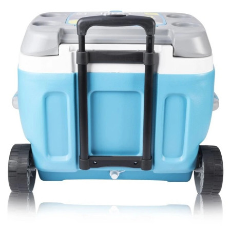 Frigorifero portatile Pinnacle Prudence 66L