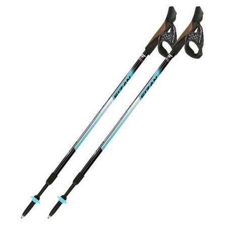 Bastoncini Fizan NW Speed