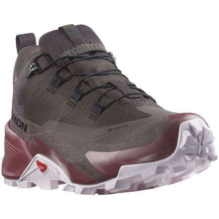 Scarpe da trekking da donna Salomon Cross Hike 2 Gore-Tex marrone Shale / Wild Ginger / Cradle Pink